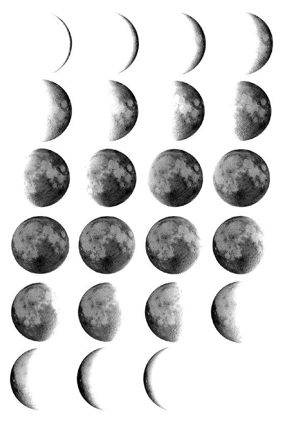 Moon Phases