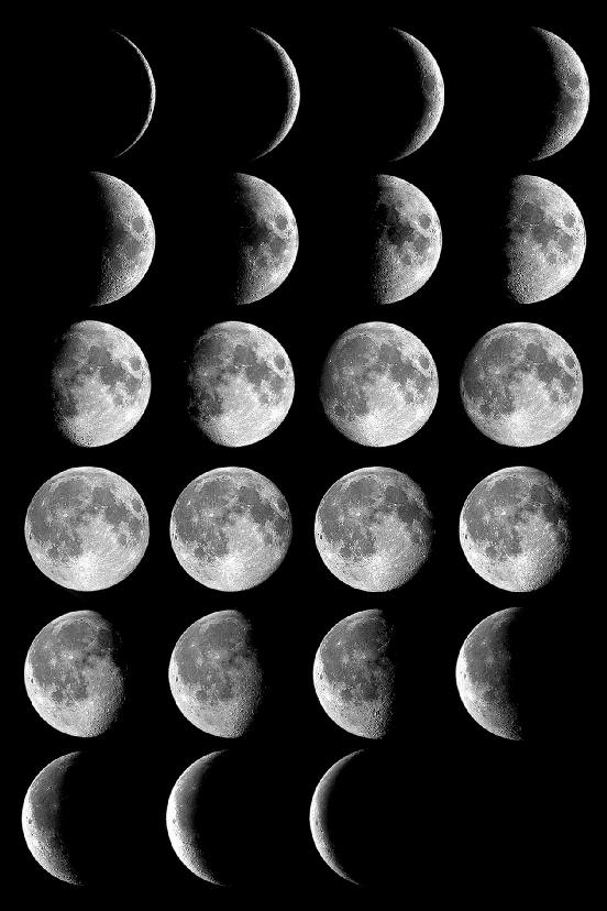 Moon Phases