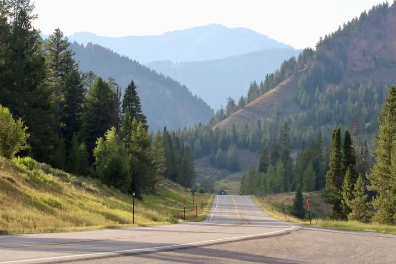 An empty road stretches between wooded slopes toward mountains in the distance.